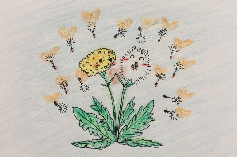 墨田区押上の鍼灸院、腰痛・肩こり・頭痛・めまい・疲労・神経痛・未病症状他、美容鍼・小児鍼、笑顔・整体・血行＆免疫力改善・ツボ治療のポプリ鍼灸院から【雑草パワー】♪