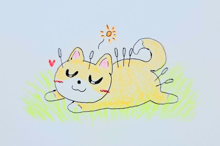 自律神経の乱れと坐骨神経痛、互いの症状増悪を改善♪