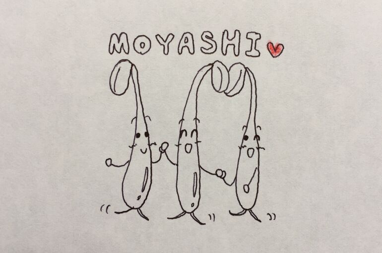 墨田区押上の鍼灸院、腰痛・肩こり・頭痛・未病他、小児鍼・美容鍼、笑顔治療のポプリ鍼灸院から【もやし】♪