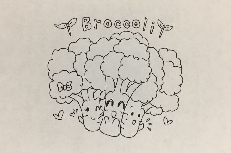 墨田区押上の鍼灸院、腰痛・肩こり・頭痛・未病他、小児鍼・美容鍼、笑顔治療のポプリ鍼灸院から【ブロッコリー】♪