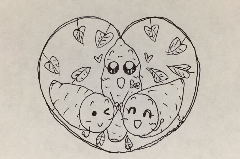 墨田区押上の鍼灸院、腰痛・肩こり・頭痛・未病他、小児鍼・美容鍼、笑顔治療のポプリ鍼灸院から【さつまいも】♪