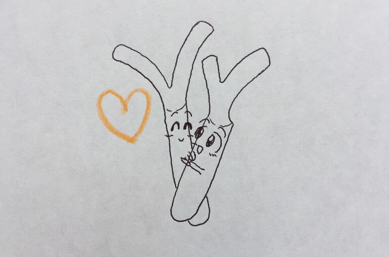 C6C3E7F9-5EBE-414D-BADB-EE29777CC017