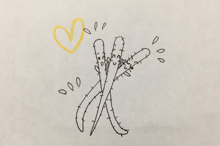 墨田区押上の鍼灸院、腰痛・頭痛・肩こり、小児鍼・美容鍼治療のポプリ鍼灸院から【3回目の緊急事態宣言】♪